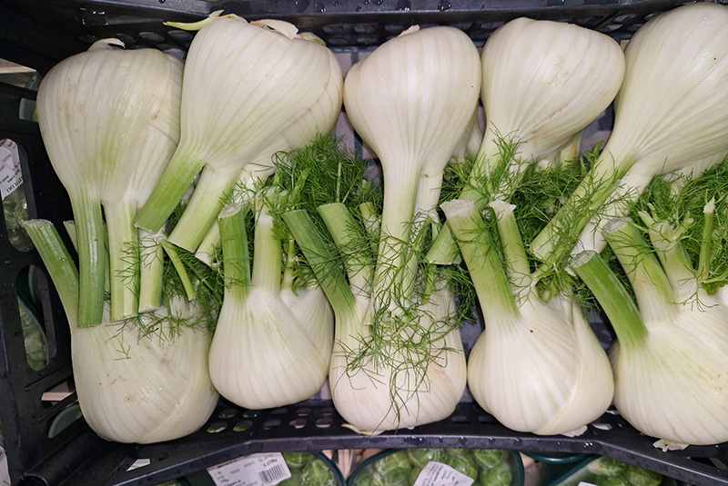 Finocchi - Veneto - 2,20/2,30 euro al chilogrammo
